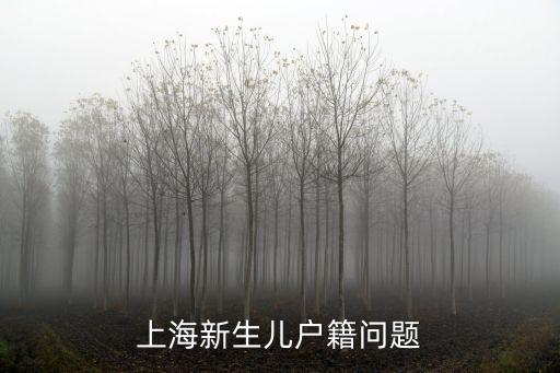 上海市新生兒戶籍管理，上海新生兒戶籍問(wèn)題