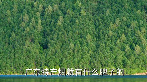 廣東煙,星寶、廣州灣卷煙未能入選廣東煙草五大品牌