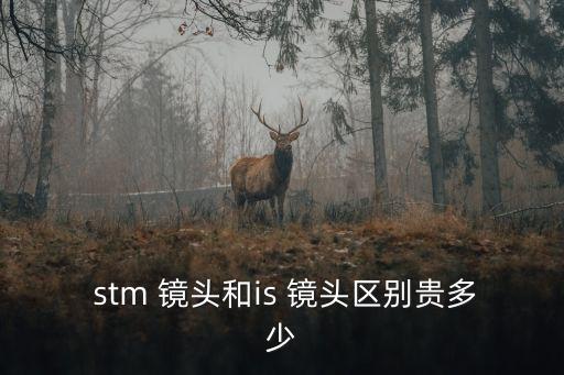  stm 鏡頭和is 鏡頭區別貴多少