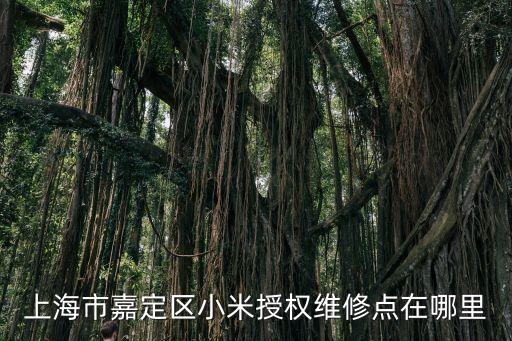 上海市嘉定區小米授權維修點在哪里