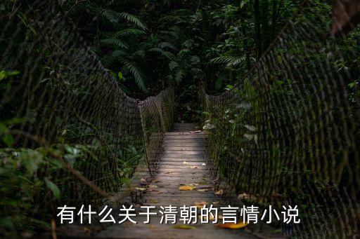 有什么關于清朝的言情小說