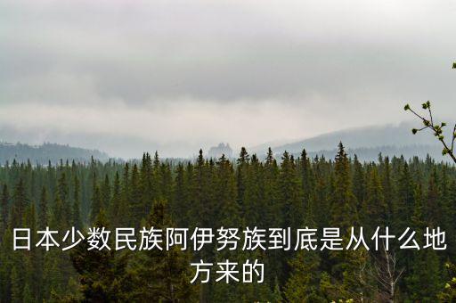 阿伊努族，阿伊努族是否是日本真正的原住民