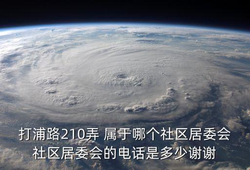 上海市黃浦區云中居委會電話，有誰知道中云華云居委會工作人員的電話啊