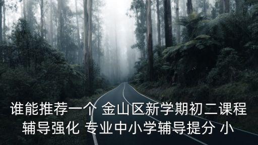 上海市金山區金山初級中學江瑛，誰能推薦一個 金山區新學期初二課程輔導強化 專業中小學輔導提分 小