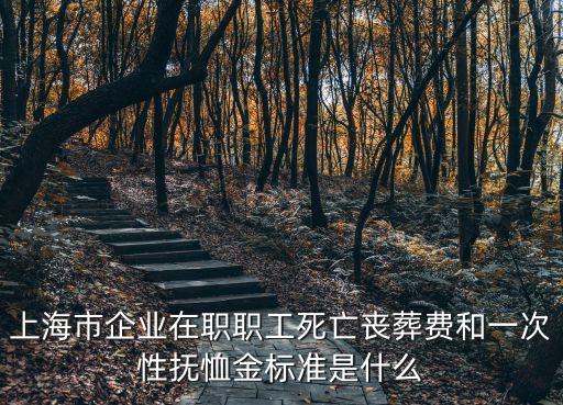 上海市企業(yè)在職職工死亡喪葬費和一次性撫恤金標準是什么
