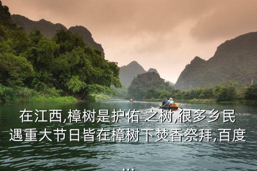 祭祀之樹,亞洲樹王樟樹是被神化的靈魂之樹被安徽泉州人種植