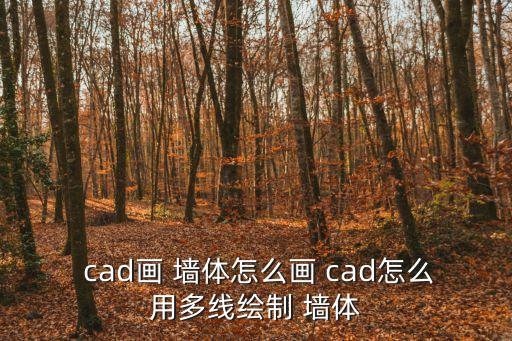  cad畫 墻體怎么畫 cad怎么用多線繪制 墻體