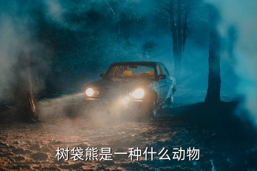 樹袋熊圖片，有白色考拉樹袋熊嗎