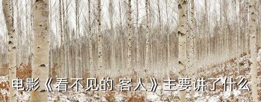 電影《看不見的 客人》主要講了什么