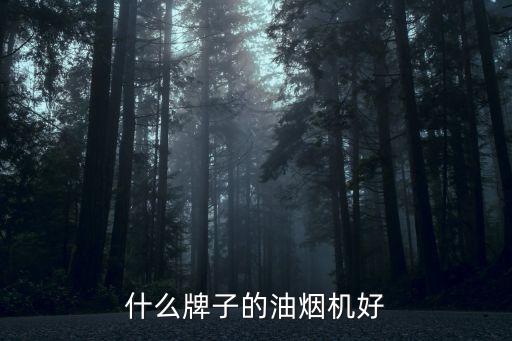 什么牌子的油煙機好