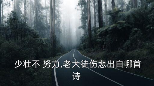  少壯不 努力,老大徒傷悲出自哪首詩(shī)