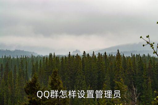 QQ群怎樣設(shè)置管理員