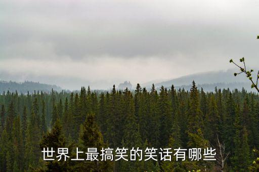 世界上最搞笑的笑話有哪些