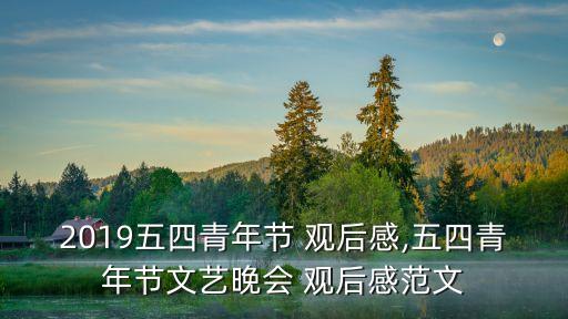 我的1919觀后感,五四聯歡晚會觀后感覺范文