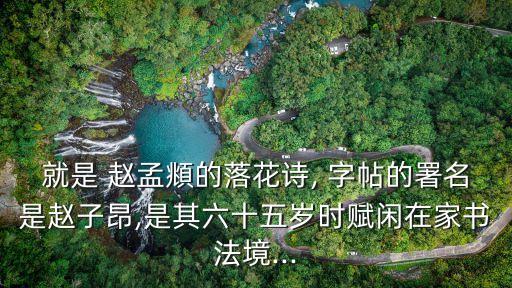 就是 趙孟頫的落花詩, 字帖的署名是趙子昂,是其六十五歲時賦閑在家書法境...