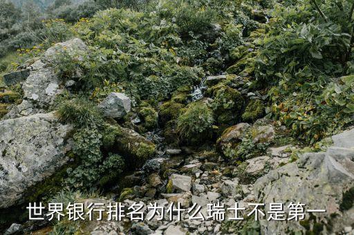 世界銀行排名為什么瑞士不是第一
