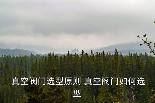 真空抽氣機組,5.真空濾清器可抽真空但不能抽干凈水品