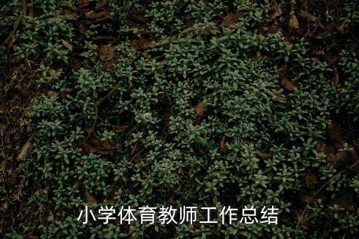 小學體育教師工作總結