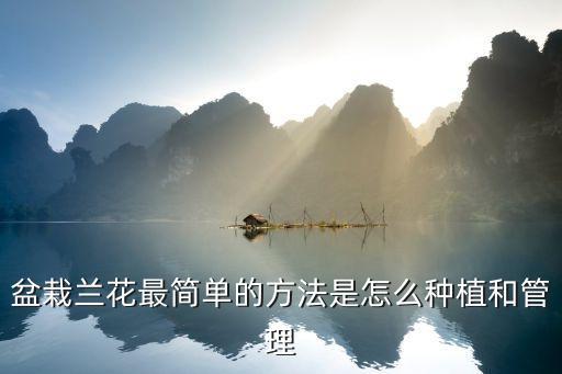 盆栽蘭花最簡單的方法是怎么種植和管理
