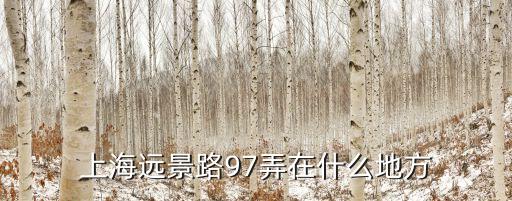 上海市遠景路97弄，上海遠景路97弄在什么地方