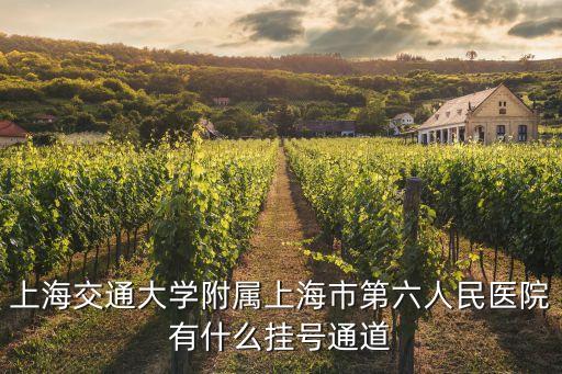 上海市六院掛號幾點開始，上海市第六人民醫院的門診是 幾點到幾點的