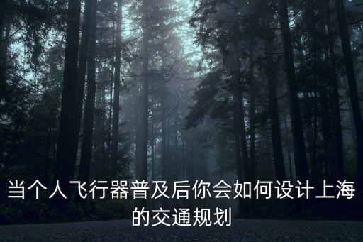 當個人飛行器普及后你會如何設計上海的交通規劃