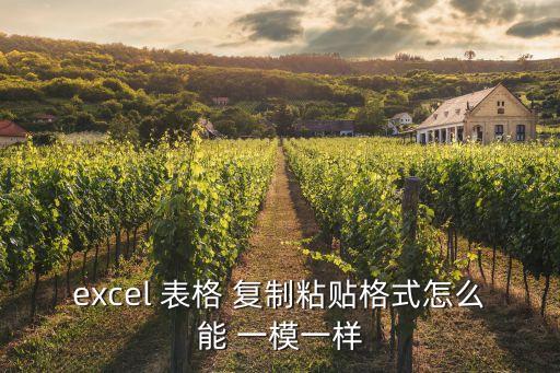 表格怎么復制一個一模一樣的