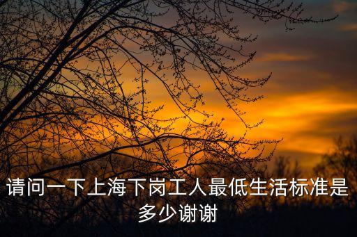 請問一下上海下崗工人最低生活標準是多少謝謝