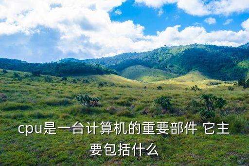 cpu是一臺(tái)計(jì)算機(jī)的重要部件 它主要包括什么