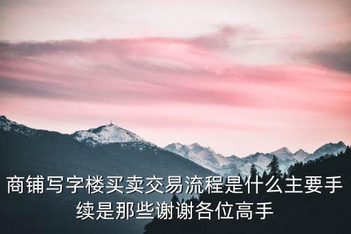 商鋪寫字樓買賣交易流程是什么主要手續是那些謝謝各位高手