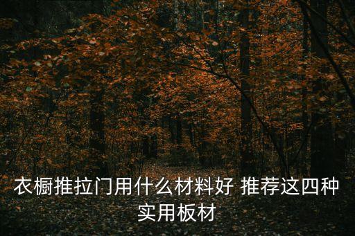 衣櫥推拉門用什么材料好 推薦這四種實用板材