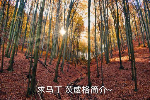 求馬丁 茨威格簡介~