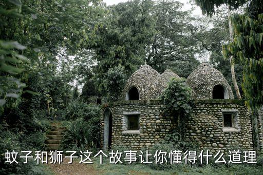 蚊子和獅子這個故事讓你懂得什么道理