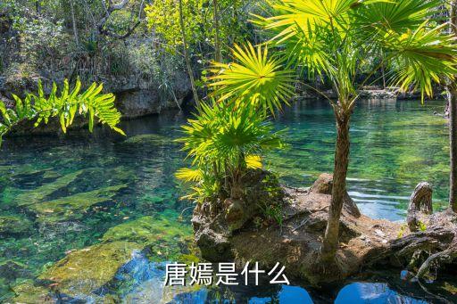 唐嫣是什么