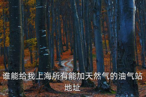 誰能給我上海所有能加天然氣的油氣站地址