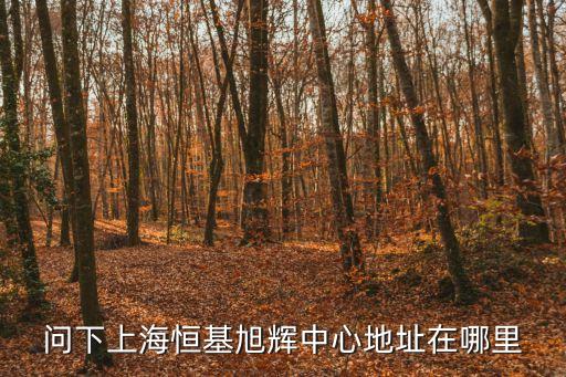 問下上海恒基旭輝中心地址在哪里