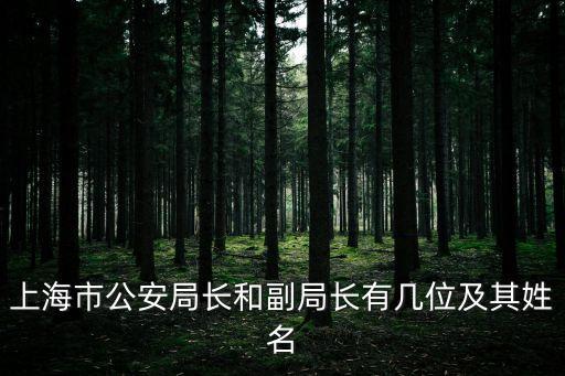 上海市公安局長和副局長有幾位及其姓名