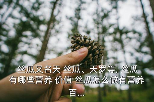  絲瓜又名天 絲瓜、天羅等, 絲瓜有哪些營養 價值 絲瓜怎么做有營養百...