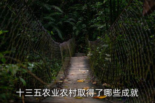 十三五農(nóng)業(yè)農(nóng)村取得了哪些成就