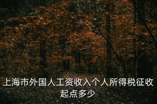 上海市外國人工資收入個人所得稅征收起點多少