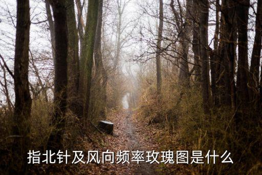 上海市指北針風玫瑰，風玫瑰圖和指北針是什么