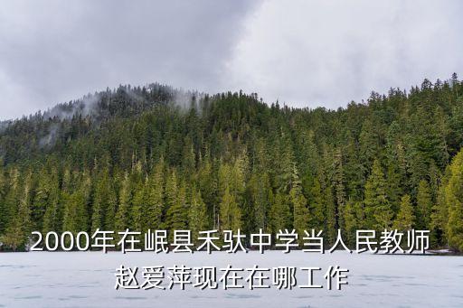 2000年在岷縣禾馱中學(xué)當(dāng)人民教師趙愛萍現(xiàn)在在哪工作