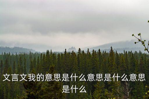 我的意思,我是部長留下來的日子