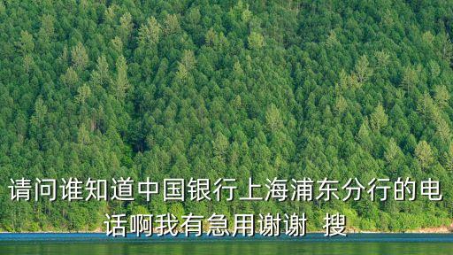請問誰知道中國銀行上海浦東分行的電話啊我有急用謝謝  搜