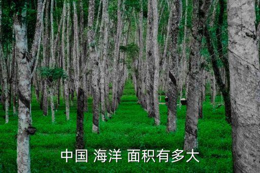中國海洋面積,中國有960萬土地面積四個海域屬于中國近海