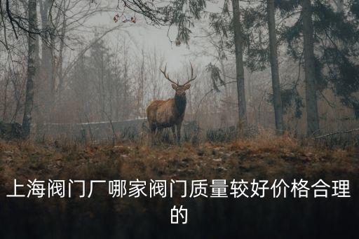 上海閥門廠哪家閥門質量較好價格合理的