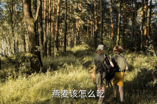 燕麥的吃法，燕麥片的吃法