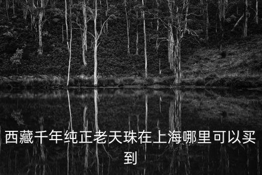 西藏千年純正老天珠在上海哪里可以買到