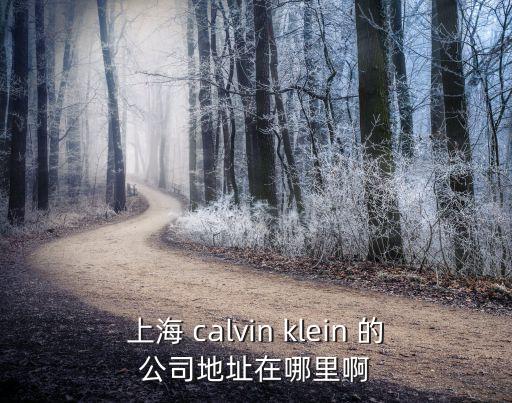 上海 calvin klein 的公司地址在哪里啊