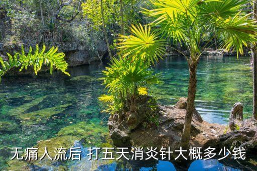 無痛針多少錢一針，無痛人流后 打五天消炎針大概多少錢